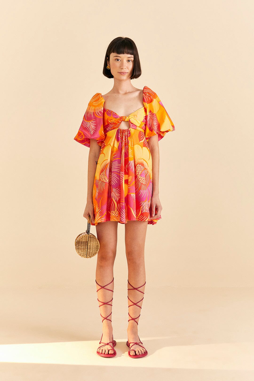 Summer Garden Ombre Mini Dress