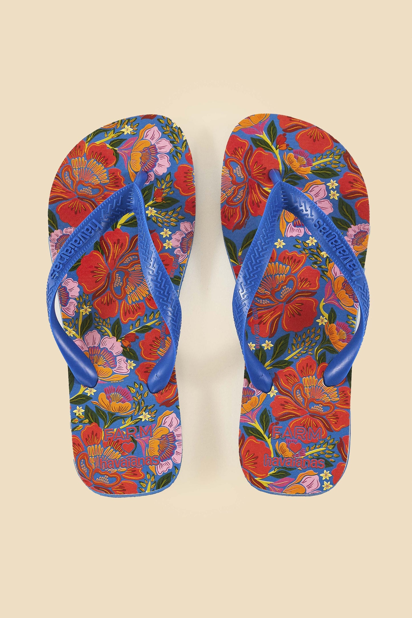 Blue Flowers Garden Havaianas Sandals